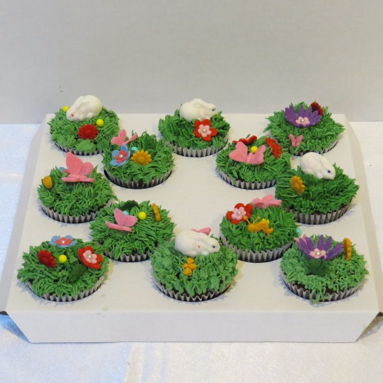 Springs cupcakes